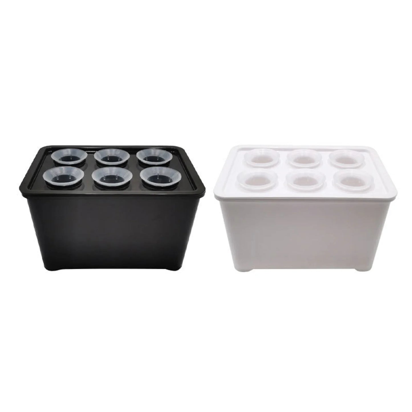 Carvallo Indoor-Grow-Set Hydroponiskt växtsystem för inomhusbruk | Självvattnande mini-växthus | 12×18×10,5 cm | För örter & sticklingar