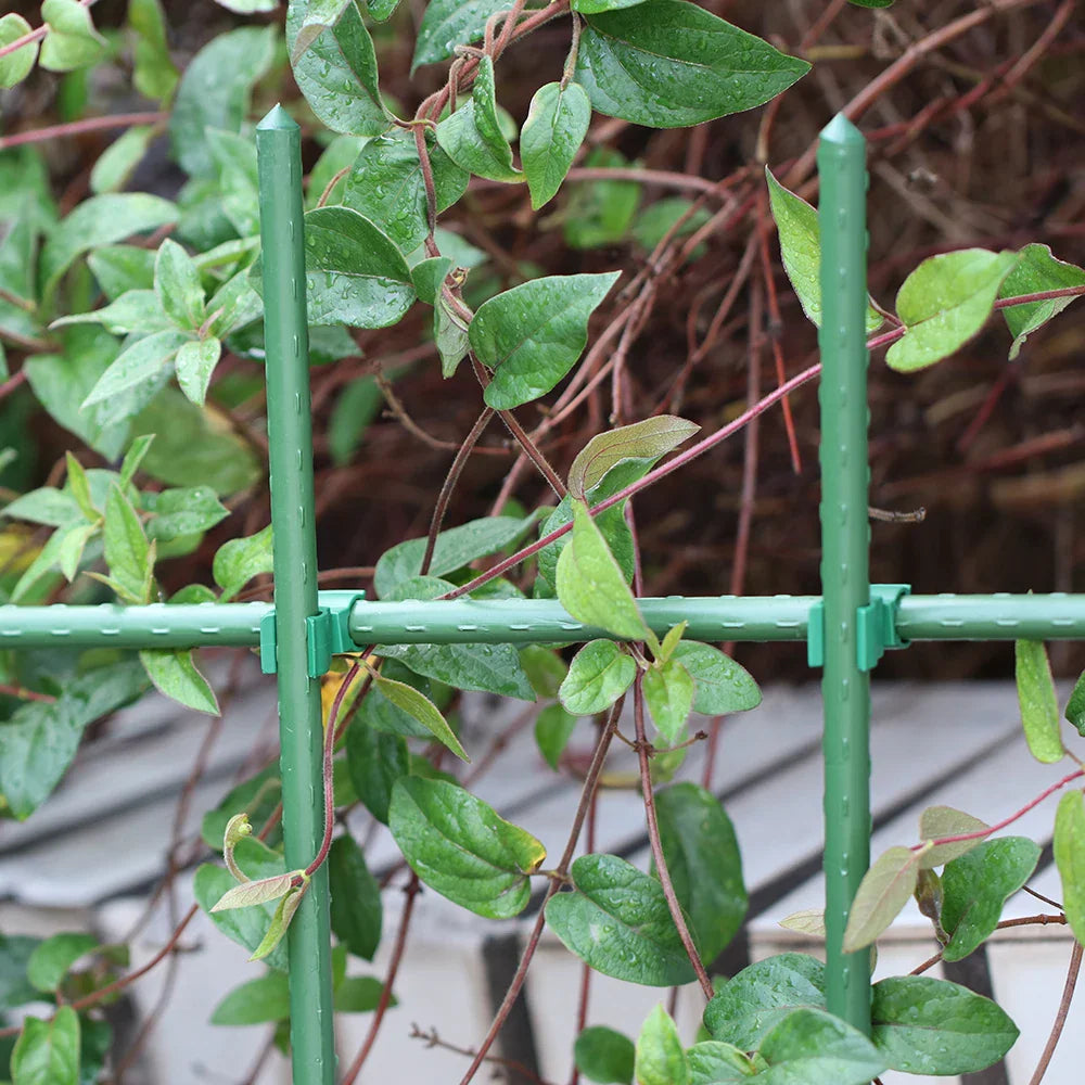 Carvallo Connect | 15-pack krysskopplingar för växtstöd | För .8–2.0 cm stänger | Justerbara klämmor för spaljéer & växtstöd