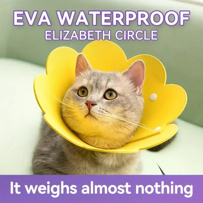 Carvallo skyddskrage för hundar & katter | Mjuk filtmaterial | Anti-lekande & klösande | Dubbel användning