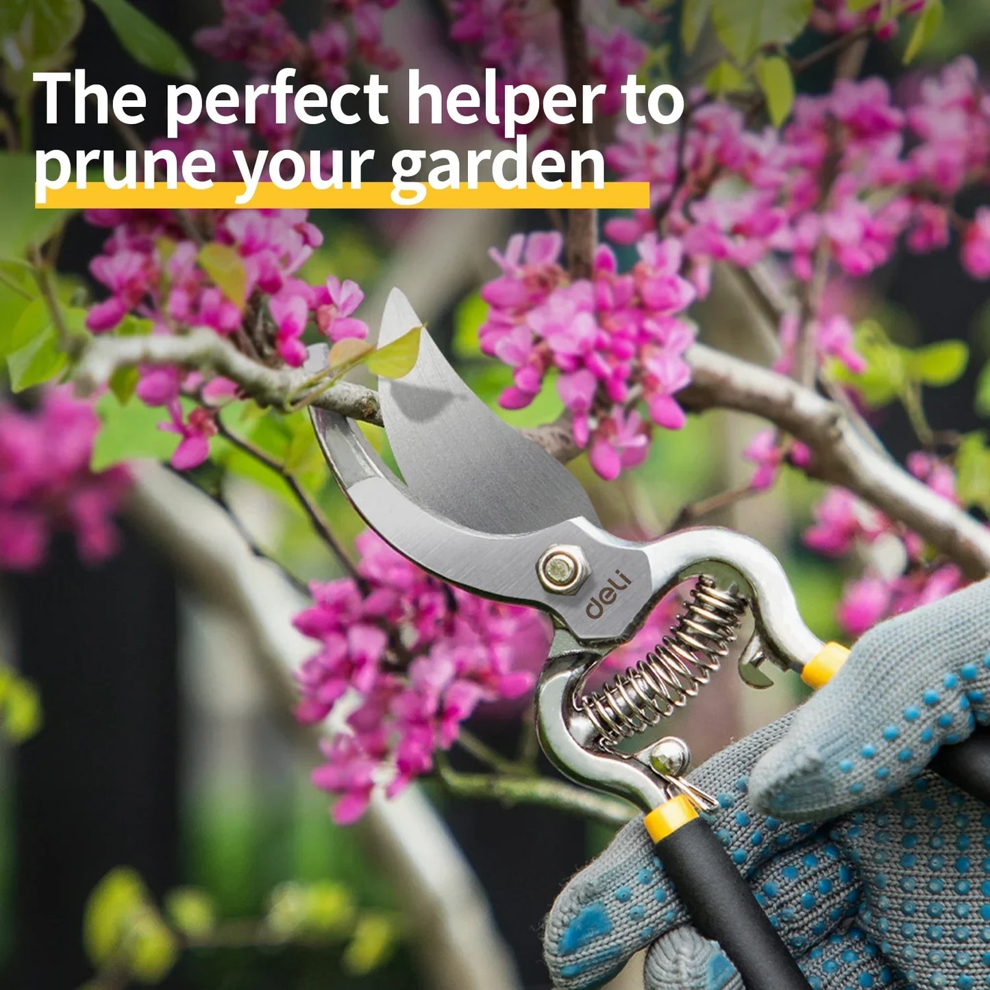 Carvallo PRUNEXA | 21 cm | Kolstål #55 | Precisionsskärning upp till Ø 1 cm