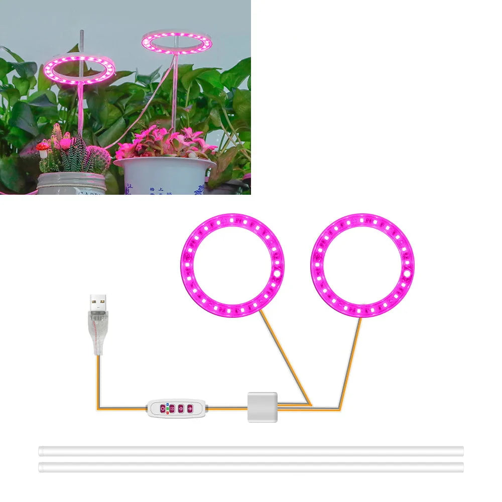 Carvallo Luminara Ring | LED-växtbelysning med timerfunktion | 1–4 huvuden | USB-driven &amp; 5-stegs dimbar