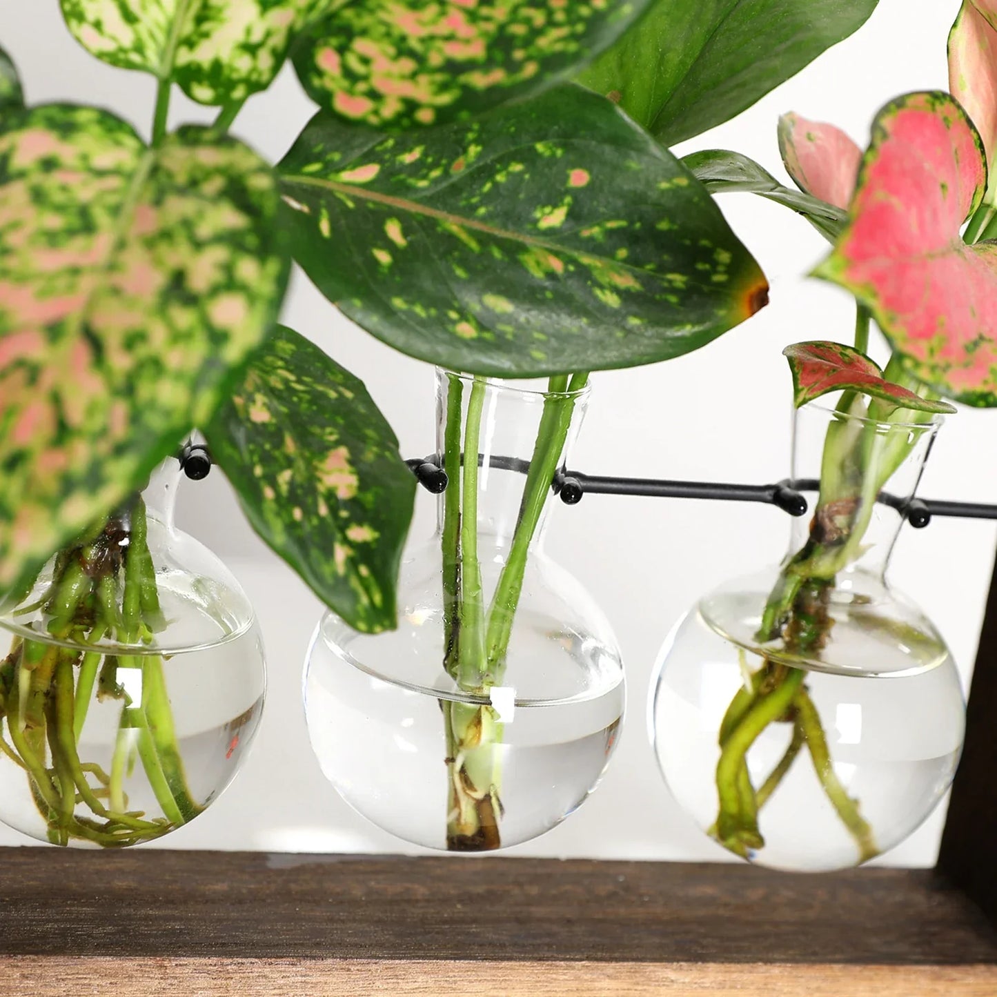 Carvallo – Vintage Trä Växtförökningsställ för Stiliga Blomsterarrangemang