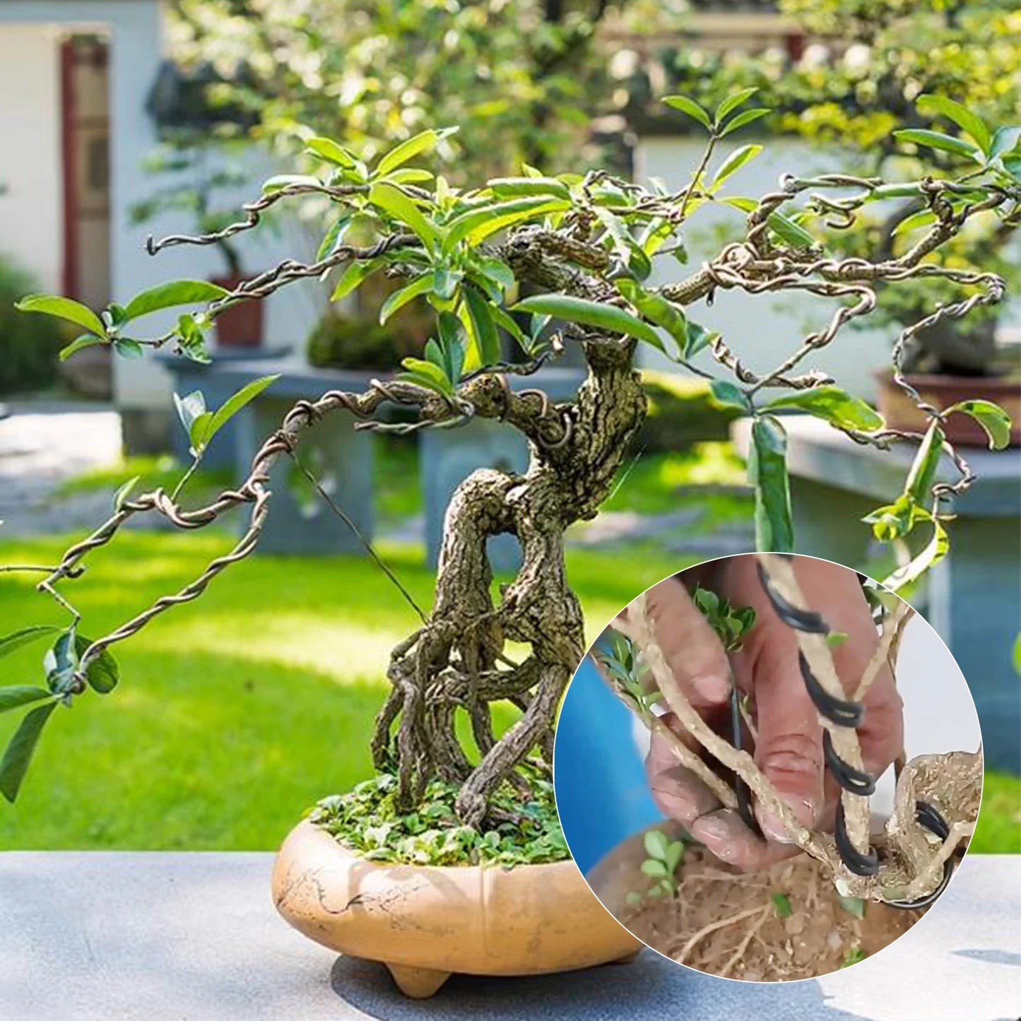Carvallo Bonsai- & Basteldraht | Aluminiumtråd med plastbeläggning | Flexibel & Rostfri