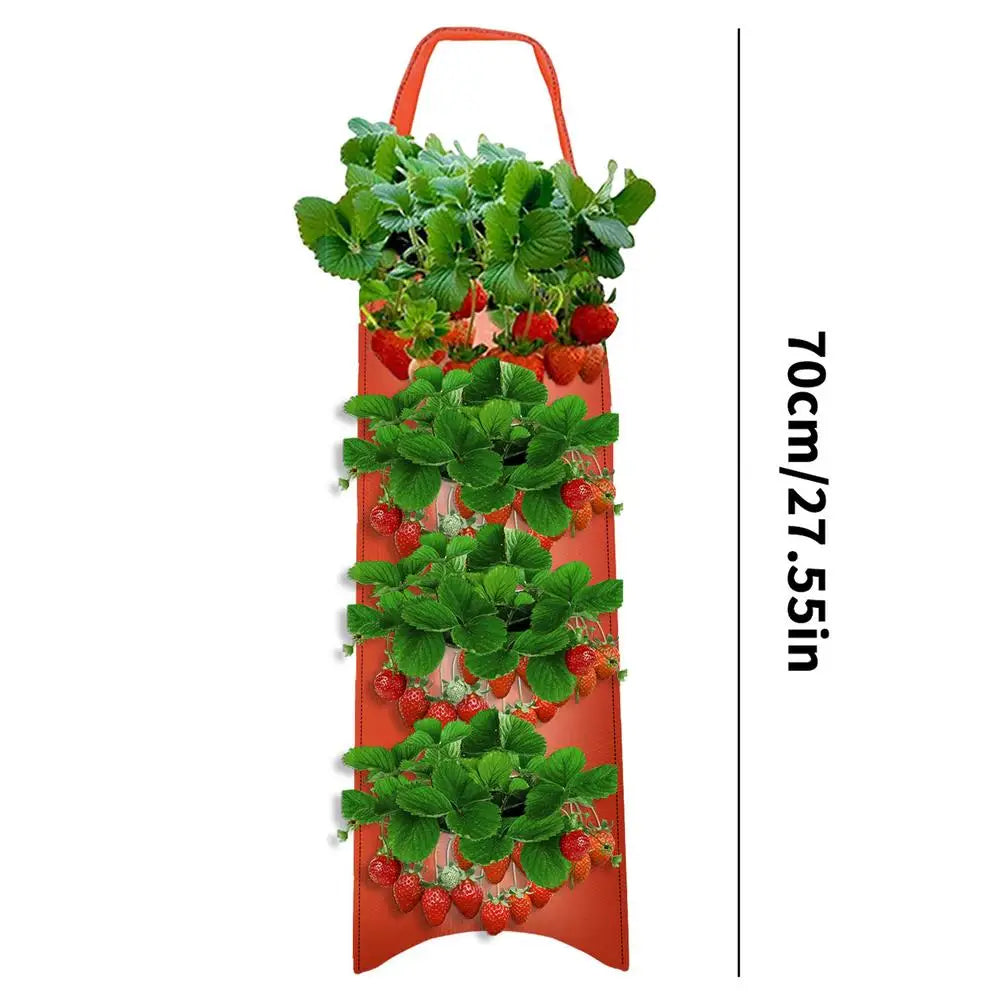 Carvallo Planter bag with 4/6/8/10 openings | Hanging & Breathable | For strawberries, tomatoes & herbs | Durable canvas fabric