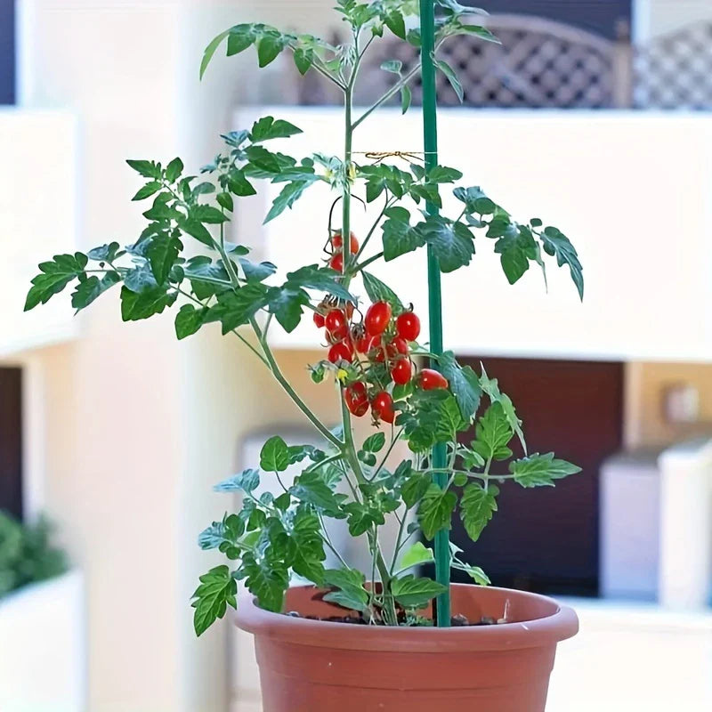 Carvallo Pro Trädgårdsplanta stänger | 50-pack | Väderbeständig & Stabil | Grön