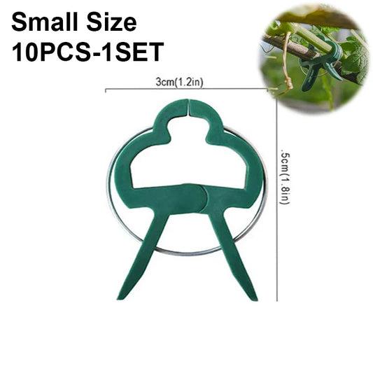 Carvallo växtklipp | Återanvändbara hållare | För tomater, grönsaker & klätterväxter | Stabil & väderbeständig