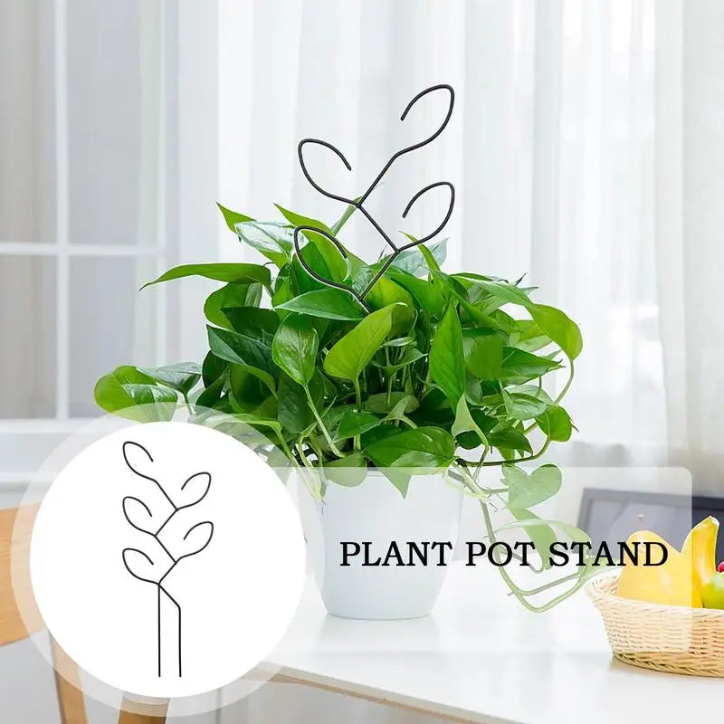 Carvallo Metall-växtstöd för inomhusbruk | Rostfritt & Stabilt | För klätterväxter, blommor & murgröna | Dekorativt bladdesign