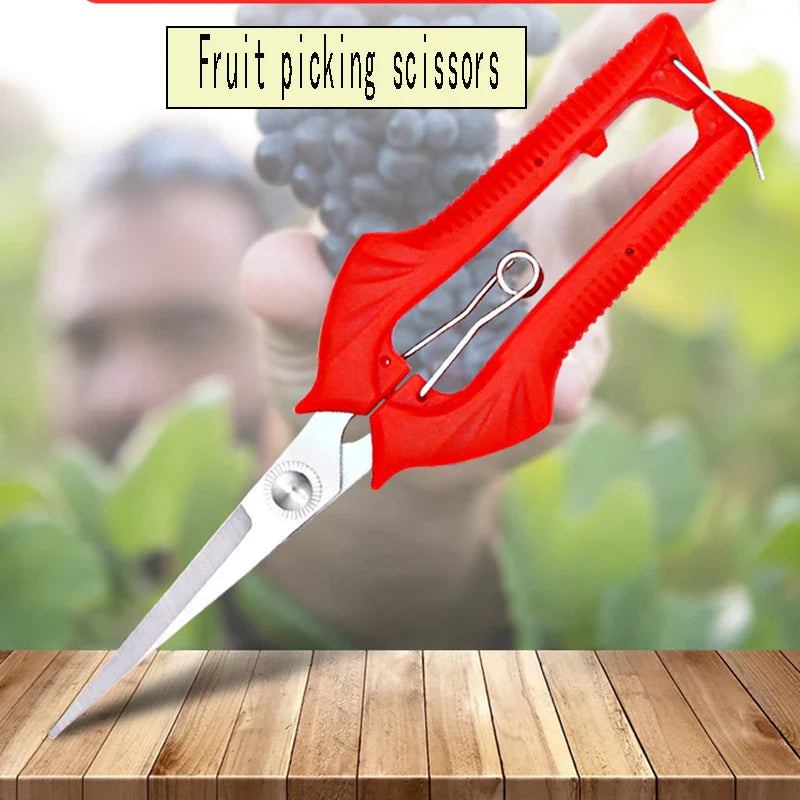 Carvallo Gräsklippare | Precisa klippning för fruktträd & bonsai | Ergonomisk & Vass | För skörd & beskärning