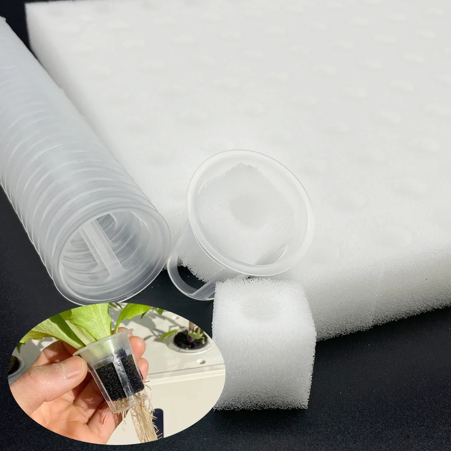 Carvallo Anzuchtsvampmatta | 100 Såhål | För hydroponik & grodd | Vattenabsorberande & rotfrämjande | 25 × 25 cm