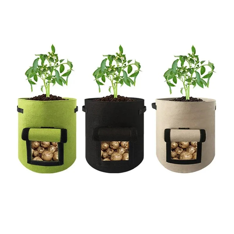 Carvallo RootView Garden | Filtt planteringsväska med fönster | 5/7 gallon | För potatis, grönsaker & örter | Andningsbar & Återanvändbar