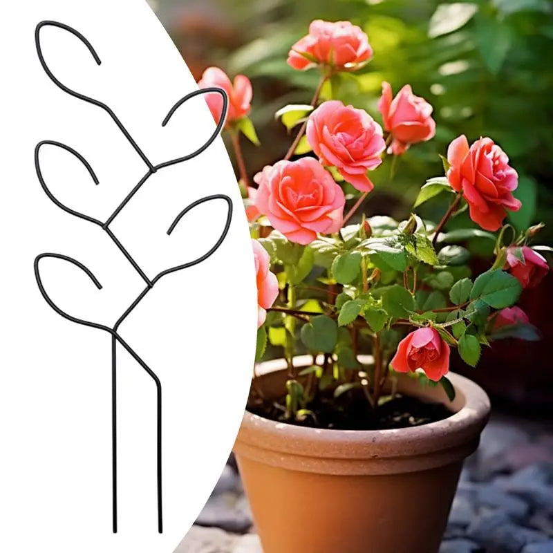 Carvallo Metall-växtstöd för inomhusbruk | Rostfritt & Stabilt | För klätterväxter, blommor & murgröna | Dekorativt bladdesign