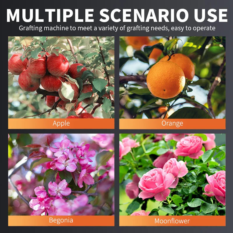 Carvallo förädlingsklippare för fruktträd | 2-i-1 klipp- & förädlingsverktyg | Proffs trädgårdsverktyg av SK5-stål