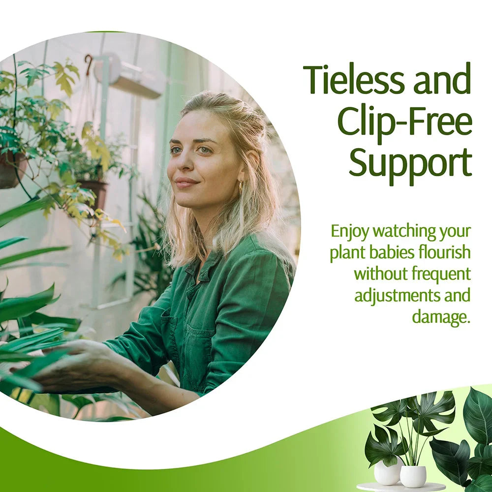 Carvallo växtstöd 3-pack | Stapelbar & Ästetisk | Naturlig look | För inomhus- & trädgårdsväxter