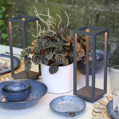 Carvallo - Bordslampa utan sladd med uppladdningsbart batteri