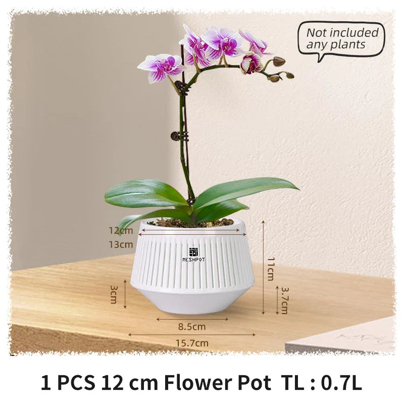 Carvallo Orchid Pot | Ventilerad planteringskruka med dräneringshål | 12 cm | Robust PP-material för inomhus och utomhus