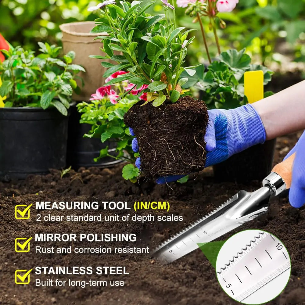 Carvallo Classic | Ogräsvettare med trähandtag | Handjägare i rostfritt stål | För fogar, rabatter och trädgårdsskötsel