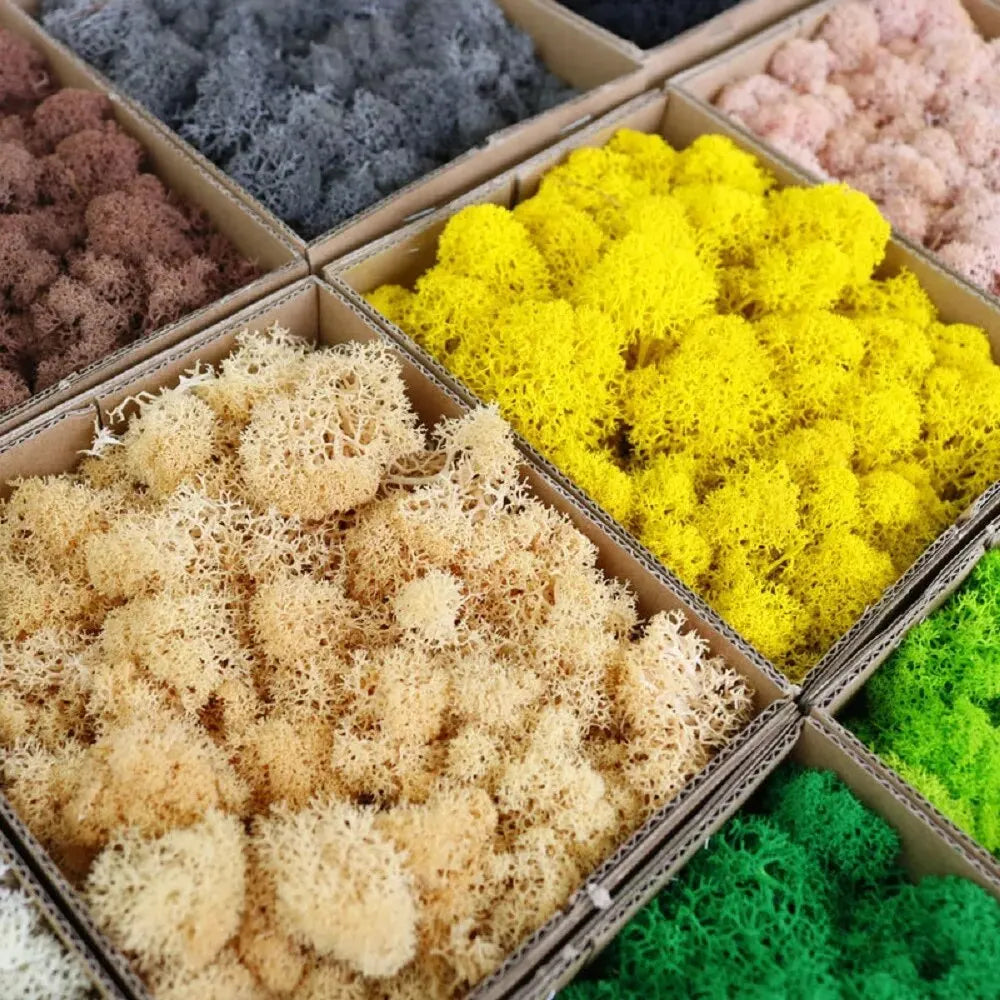 Carvallo Konstgjord mossa Dekogräs | 20 g / 40 g / 100 g | För DIY, miniatyrträdgårdar & hemtillbehör | Eviggrön & underhållsfri