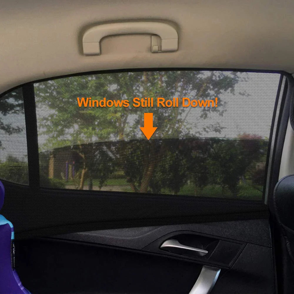 Carvallo – Frisk bris. Var du vill.