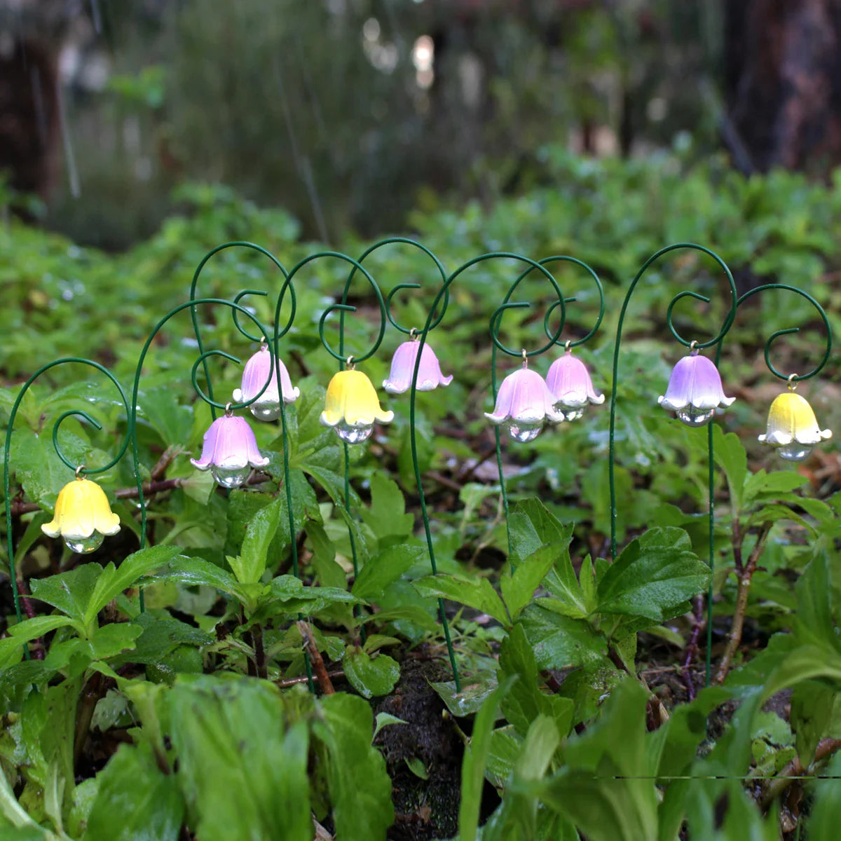 Carvallo Ewige Kungsängslilja | 9-delat Feodags-Dekorationsset | Miniatyrfigurer för Krukväxter, Bonsai & DIY-Landskap
