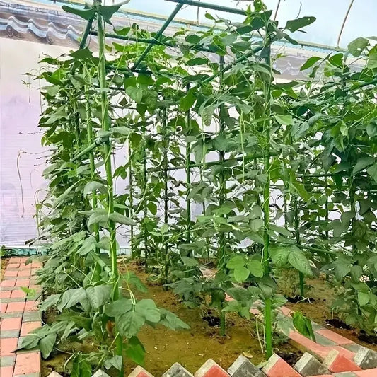 Carvallo Pro | 20-pack växtstöd | Stabilt & Mångsidigt | För tomater, gurkor & klätterväxter