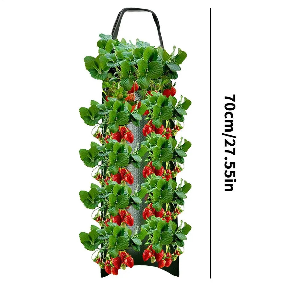 Carvallo Planter bag with 4/6/8/10 openings | Hanging & Breathable | For strawberries, tomatoes & herbs | Durable canvas fabric