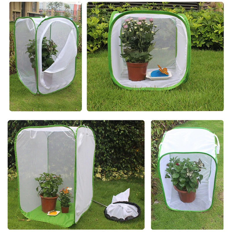 Carvallo Fällbart Insekthabitat | Zyning- & Observationsnät | Rostfritt stålram | För fjärilar, gräshoppor & silkesmaskar