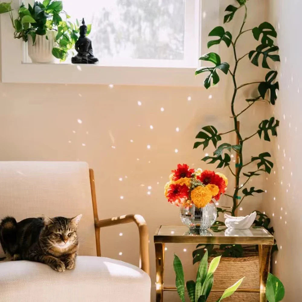 Carvallo Disco växtupphängare | Retro växtbehållare med spegelboll | För inomhus & utomhus | Handgjord med kedja & träring