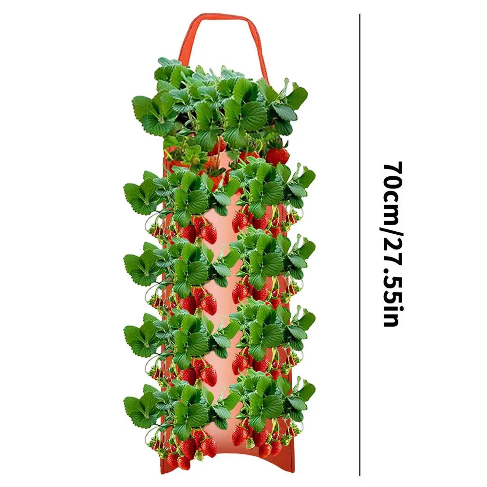 Carvallo Planter bag with 4/6/8/10 openings | Hanging & Breathable | For strawberries, tomatoes & herbs | Durable canvas fabric
