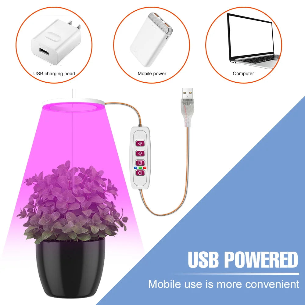 Carvallo Luminara Ring | LED-växtbelysning med timerfunktion | 1–4 huvuden | USB-driven &amp; 5-stegs dimbar