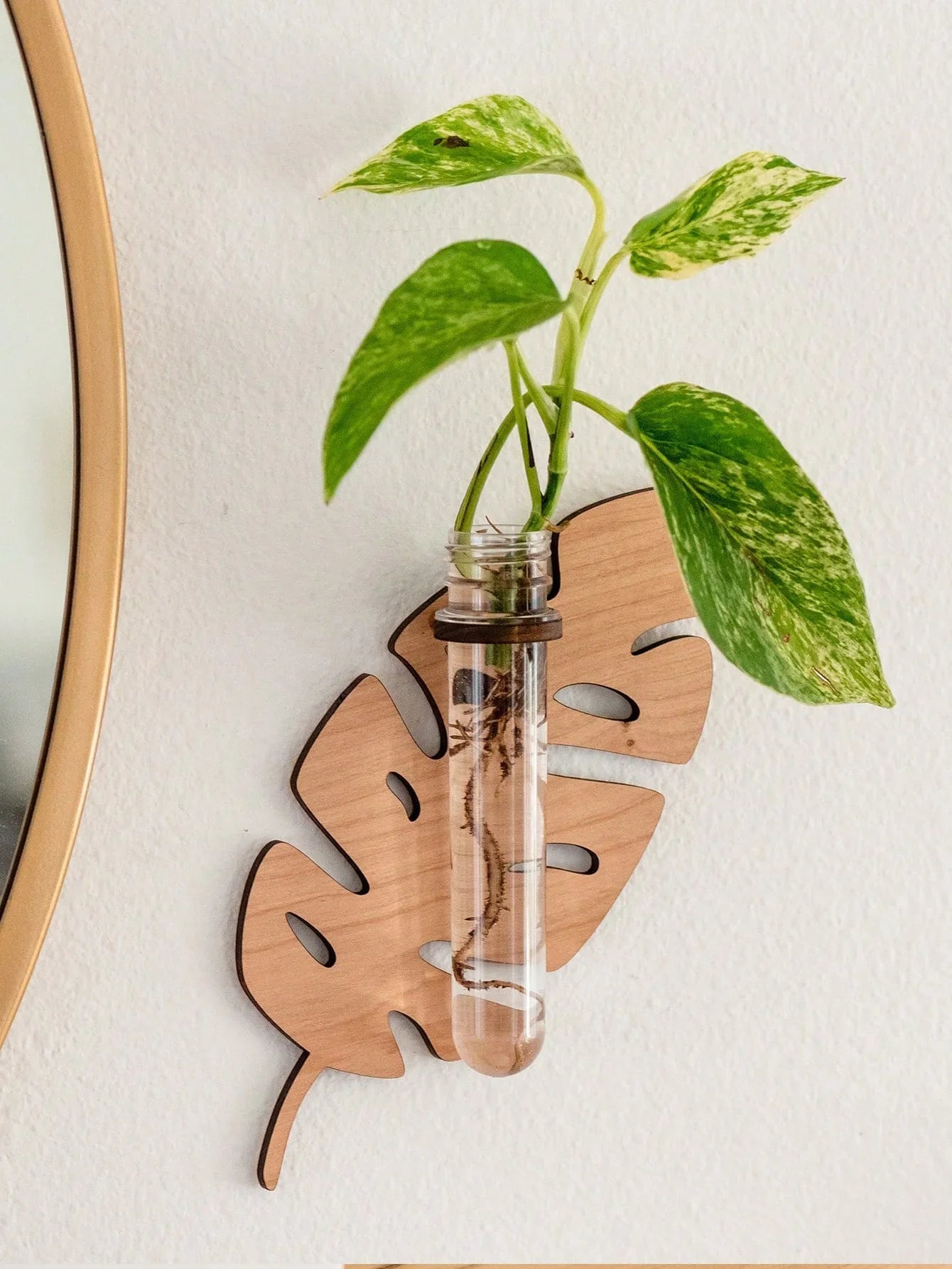 Carvallo väggvaser i blommönster med provrör | 1/2 styck träväggdekoration för växter och sticklingar | Handgjorda växt hållare för vardagsrum, hall och kontor