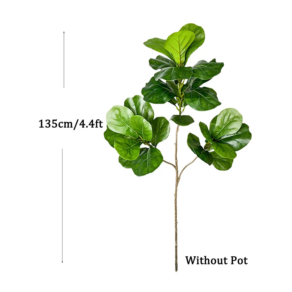 Carvallo Evergrünia | Gummiträd Ficus | 70–135 cm Höjd | Naturtroget utseende för inomhus & utomhus