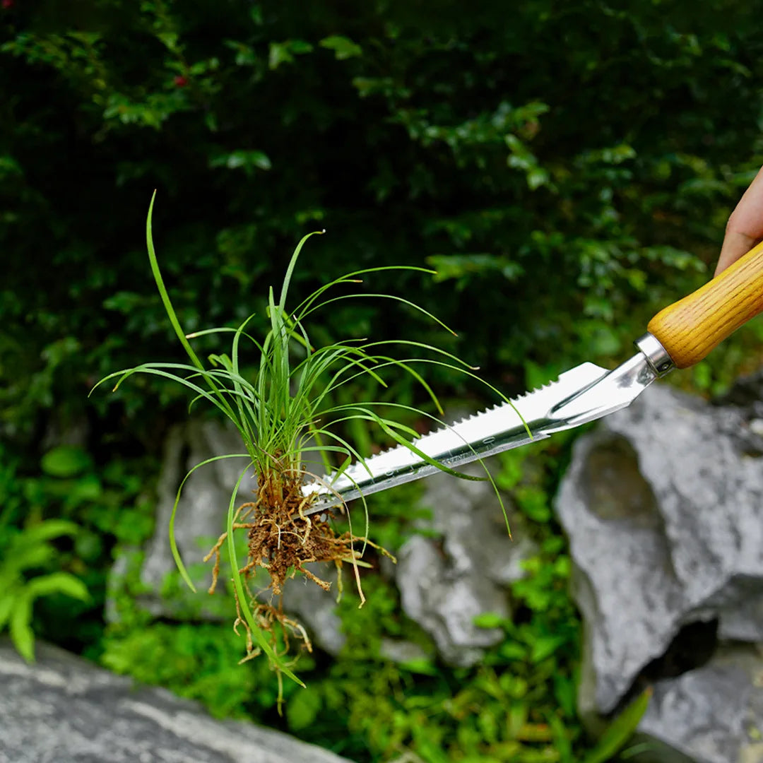 Carvallo Handspade | Rostfritt stål & bokträ | Ogräsrensning, plantering & omplantering