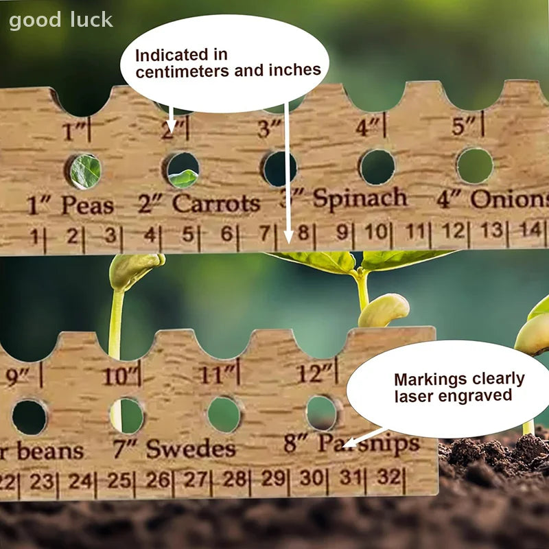 Carvallo NaturLinjal Växtlinjal av trä | 33×4,9 cm | Såddavstånd-hjälp med cm/tum-skala | För precis trädgårdsarbete & jämn sådd