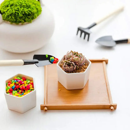Carvallo Mini Trädgårdsverktygset | Idealiskt för Suculenter &amp; Bonsai | Ergonomisk &amp; Robust | Trä &amp; Stål