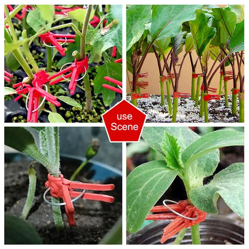 Plastmaterial Förädlingsklipp för trädgårdsväxter - Ideal för grönsaker och växtvård