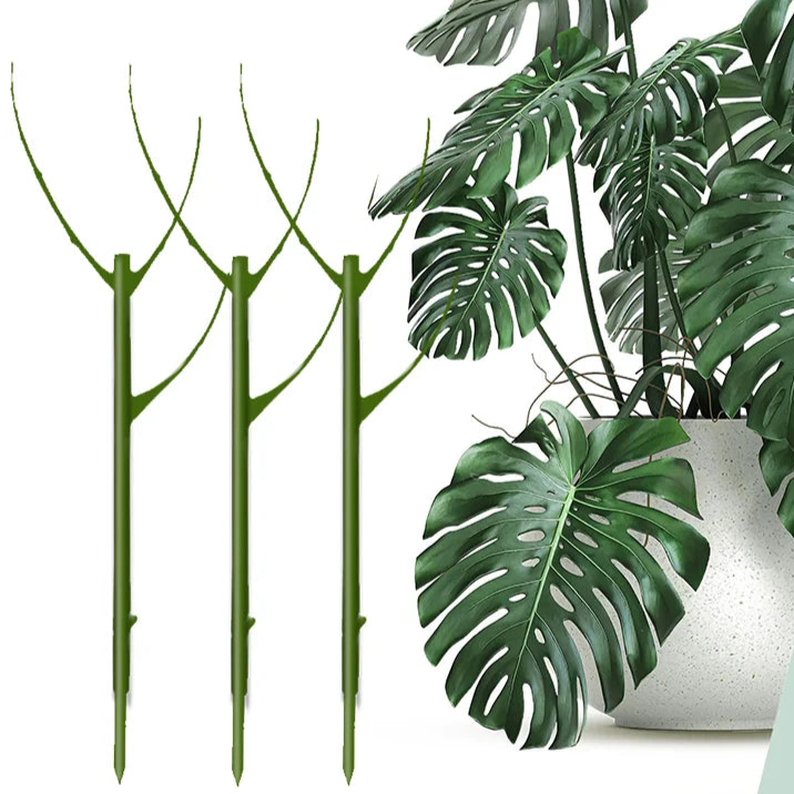 Carvallo växtstöd 3-pack | Stapelbar & Ästetisk | Naturlig look | För inomhus- & trädgårdsväxter