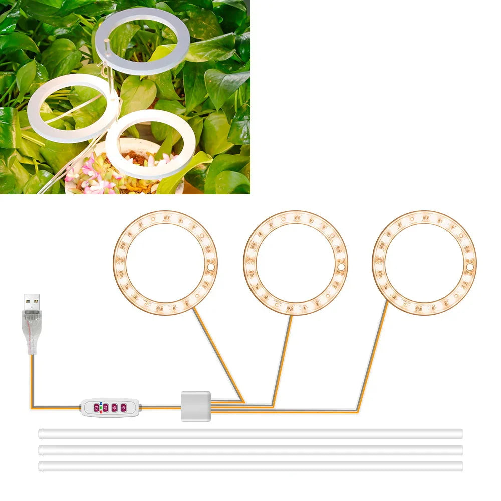 Carvallo Luminara Ring | LED-växtbelysning med timerfunktion | 1–4 huvuden | USB-driven & 5-stegs dimbar
