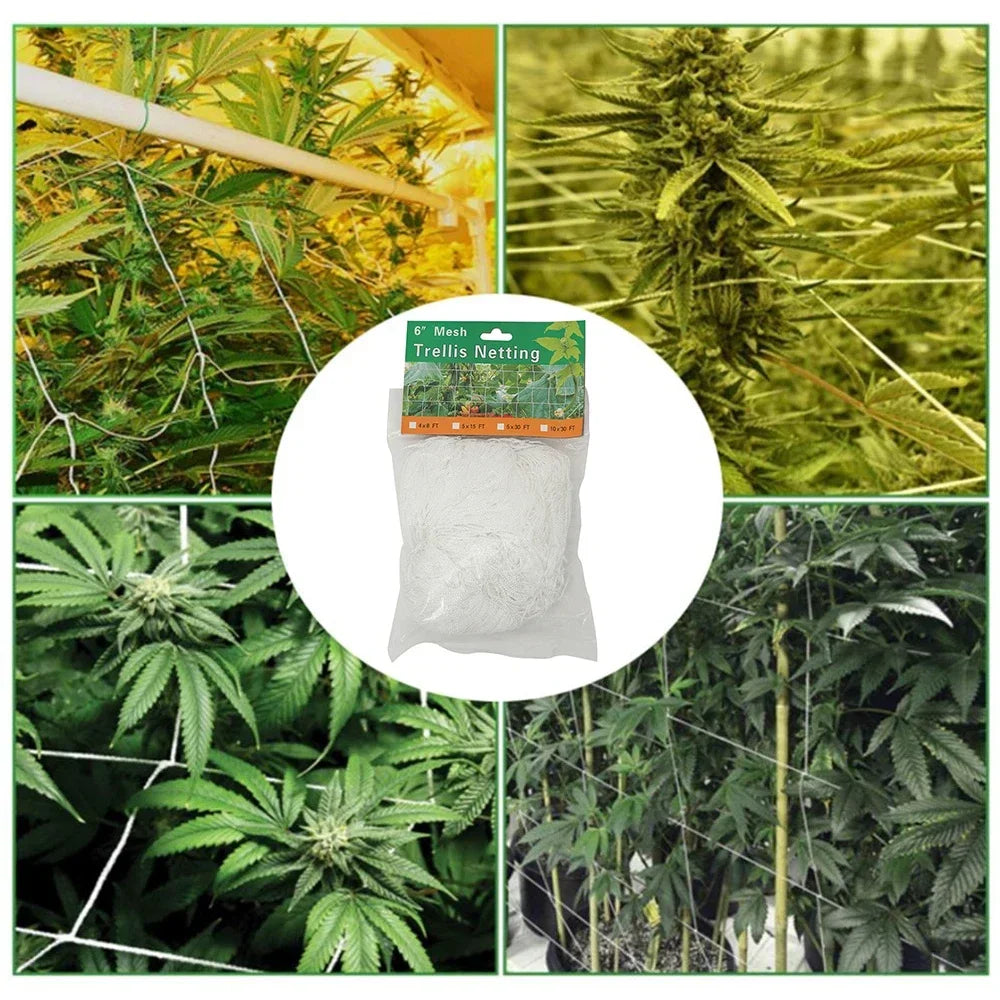 Carvallo Växter-Klätternät 10 m | Robust & UV-beständigt | Platsbesparande Stöd för Grönsaker & Blommor