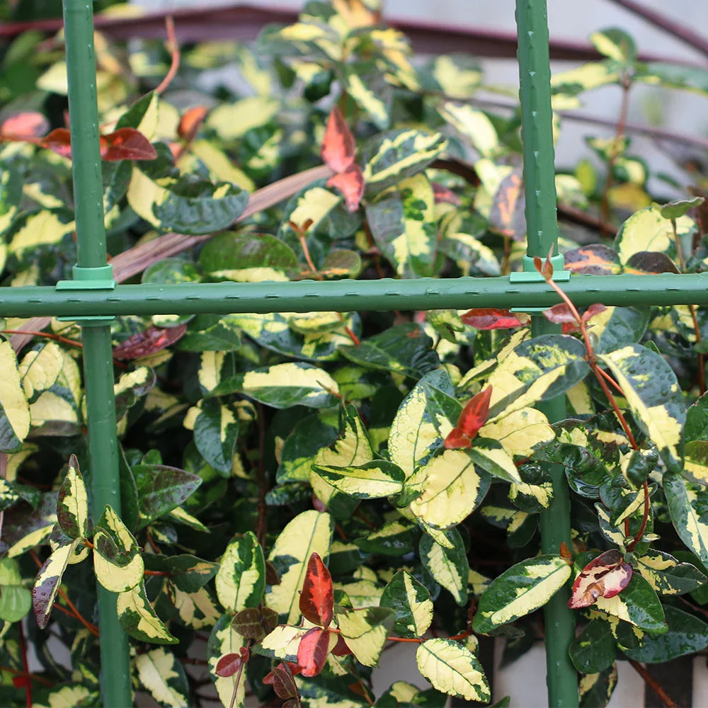 Carvallo Connect | 15-pack krysskopplingar för växtstöd | För .8–2.0 cm stänger | Justerbara klämmor för spaljéer & växtstöd