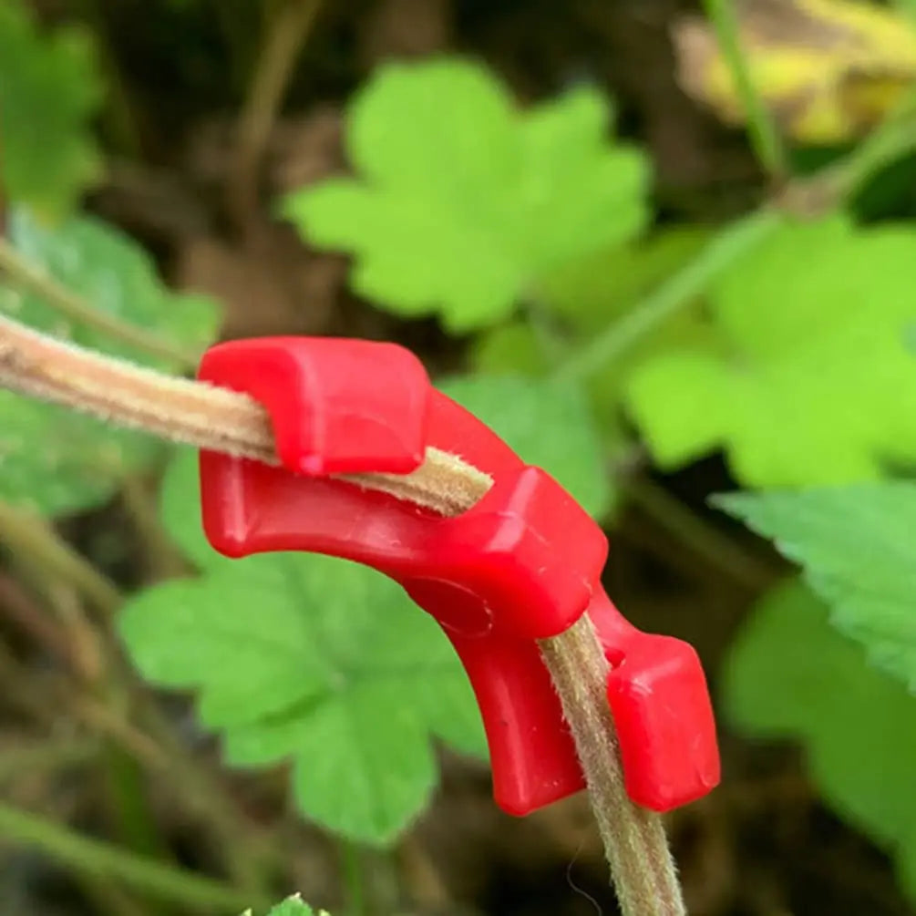 Carvallo växtböjningsklipp 90° | Tillväxttränare för grenar & skott | 10–50 stycken | Låg stress-träning för högre avkastning