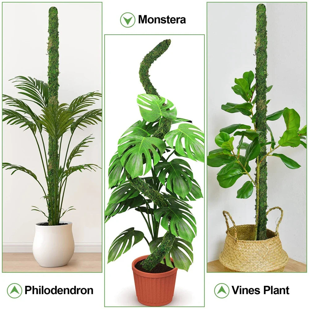 Carvallo MossPole Böjliga mossa stöd för växter | Handgjord klättringshjälp för Monstera &amp; inomhusväxter | 45 × 3 cm
