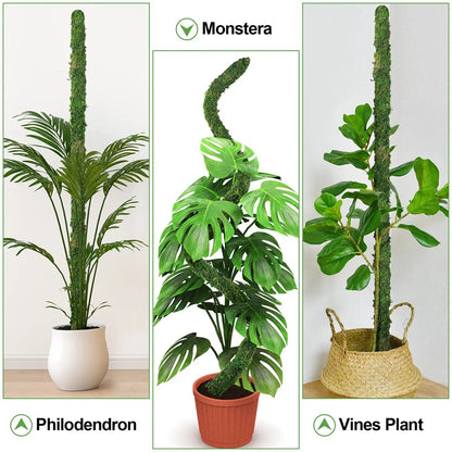 Carvallo MossPole Böjliga mossa stöd för växter | Handgjord klättringshjälp för Monstera &amp; inomhusväxter | 45 × 3 cm