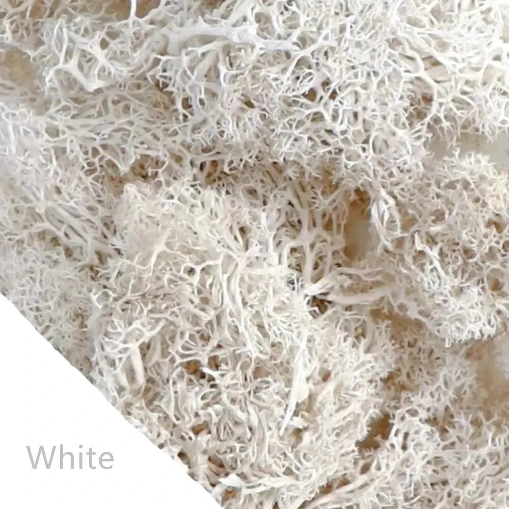 Carvallo Konstgjord mossa Dekogräs | 20 g / 40 g / 100 g | För DIY, miniatyrträdgårdar & hemtillbehör | Eviggrön & underhållsfri