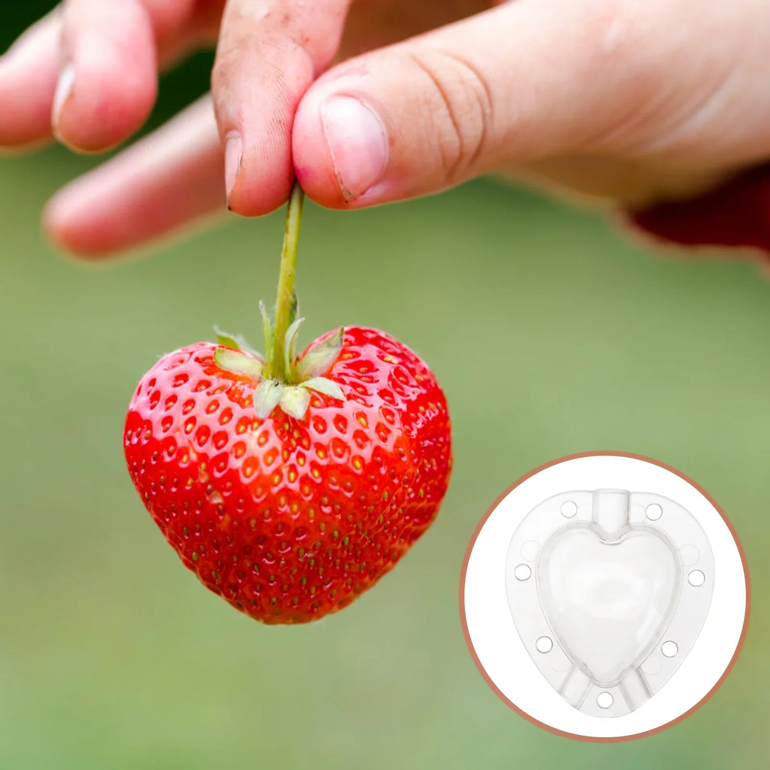 Hjärta form grönsaksform – Kreativ formskål för grönsaker och frukt