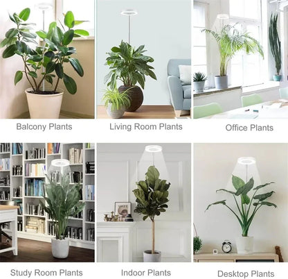 Höjdjusterbar växtlampa med ljusstyrkekontroll