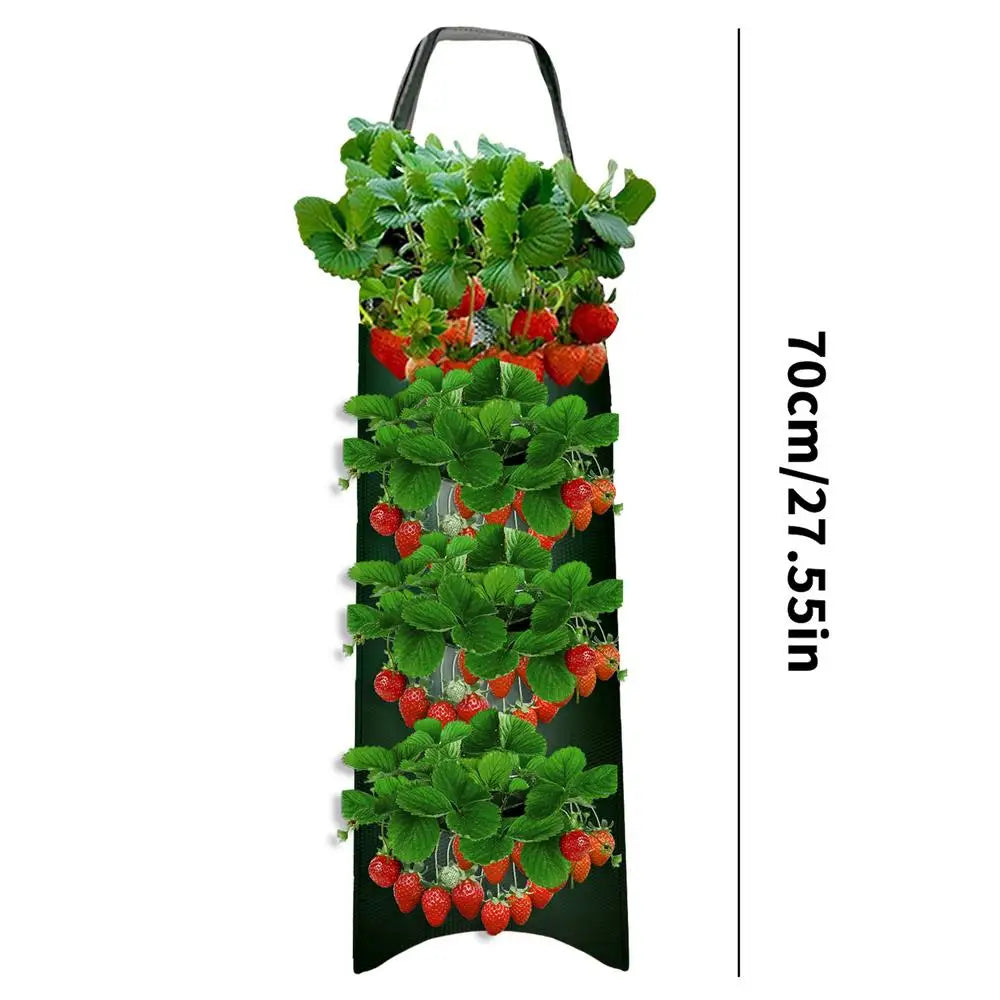 Carvallo Planter bag with 4/6/8/10 openings | Hanging & Breathable | For strawberries, tomatoes & herbs | Durable canvas fabric