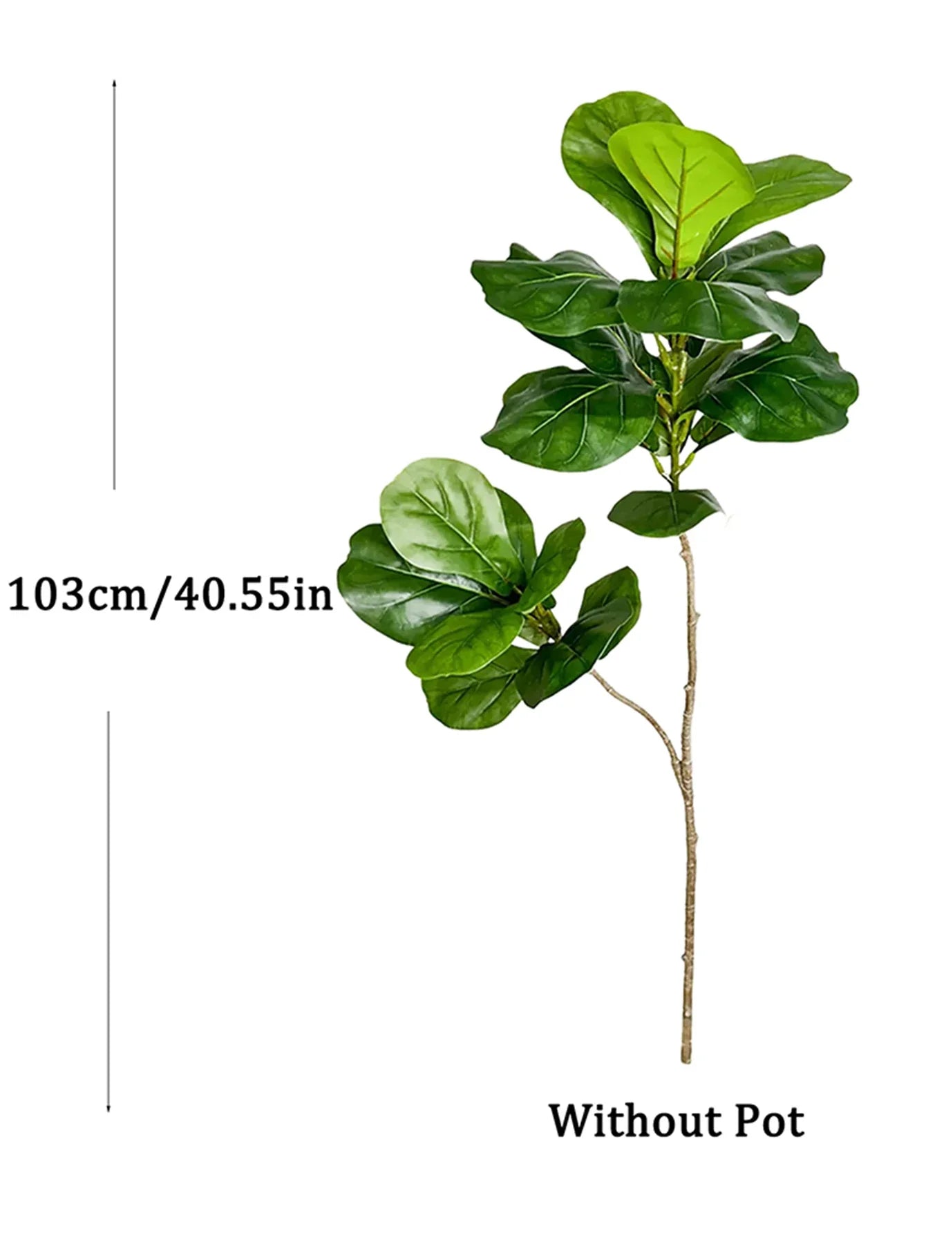 Carvallo Evergrünia | Gummiträd Ficus | 70–135 cm Höjd | Naturtroget utseende för inomhus & utomhus