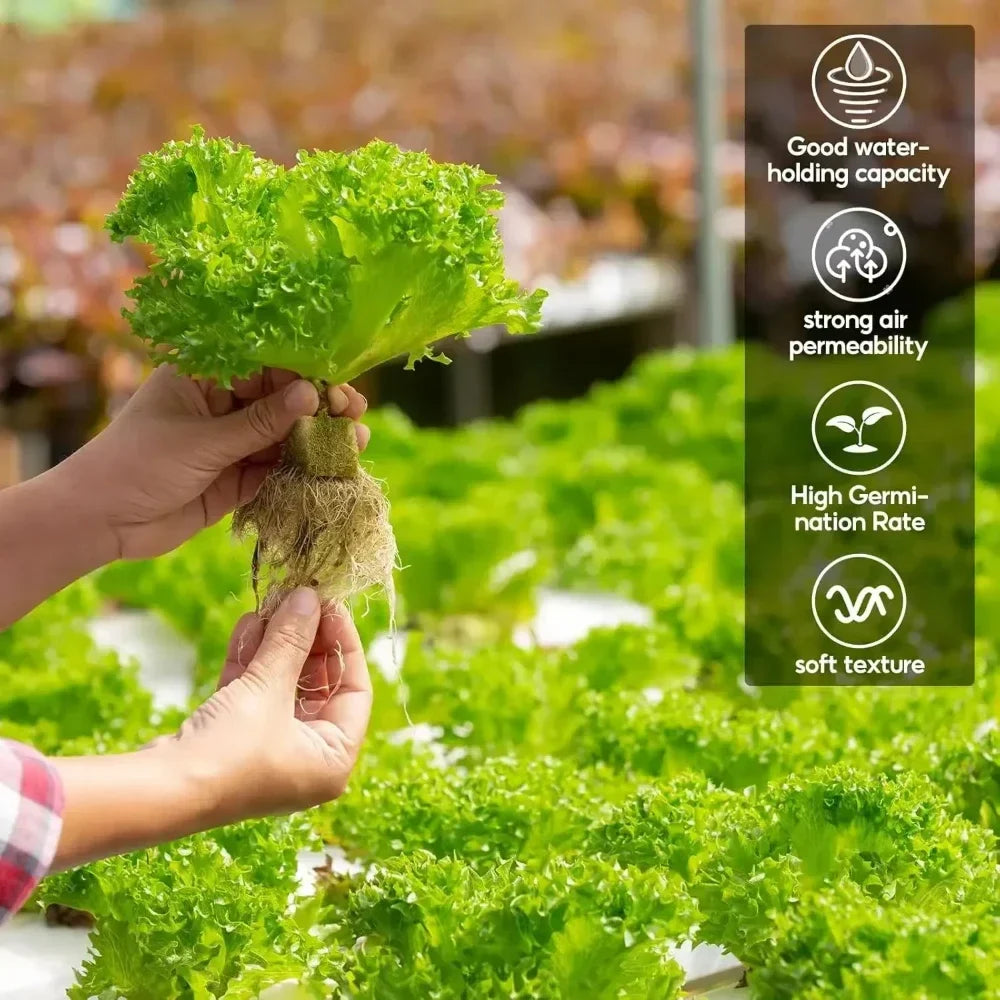 Carvallo Anzuchtkubbar för hydroponik | Steinullfria växtkubbar | Ideal för grönsaker, örter & blommor | 50/100/200/300/500 stycken