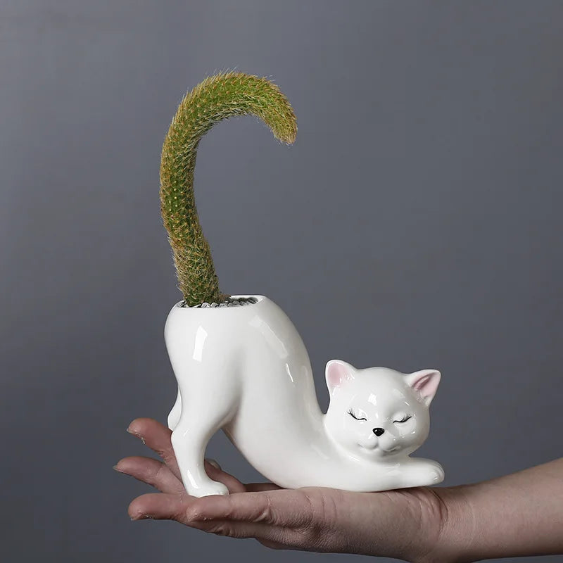Söt kattblomkruka - Glaserad porslins succulentplanterare