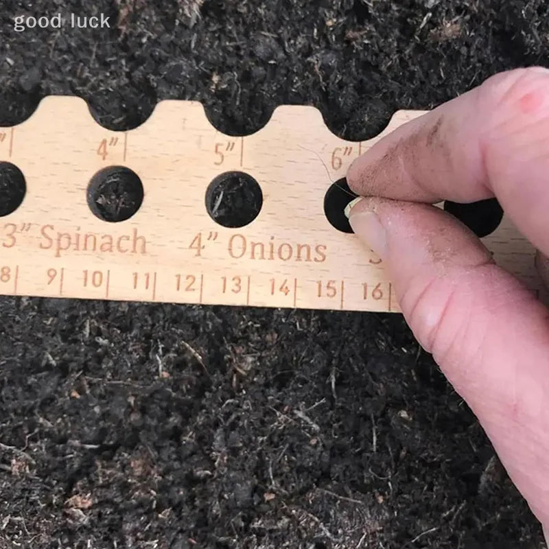 Carvallo NaturLinjal Växtlinjal av trä | 33×4,9 cm | Såddavstånd-hjälp med cm/tum-skala | För precis trädgårdsarbete & jämn sådd